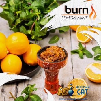 Заказать кальянный табак Burn Lemon Mint (Берн Лимон Мята) 100г онлайн с доставкой всей России